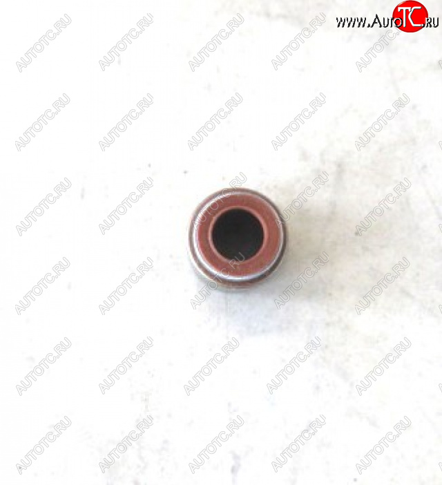 79 р.     Колпачки маслосъемные (YC6108) 430-1007016A YUCHAI 430-1007016a  с доставкой в г. Кемерово