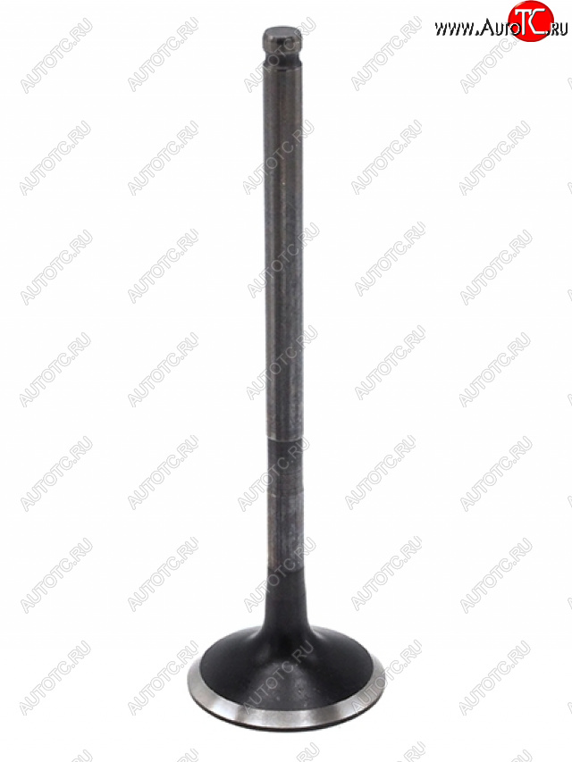 1 499 р. Клапан выпускной TOYOTA 1AZFE2AZFE1AZFSE2AZFSE2AZFXE TOYOTA 13715-28010  с доставкой в г. Кемерово