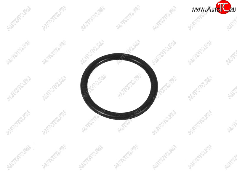 369 р. Кольцо уплотнительное АКПП VAG VAG WHT001403  с доставкой в г. Кемерово