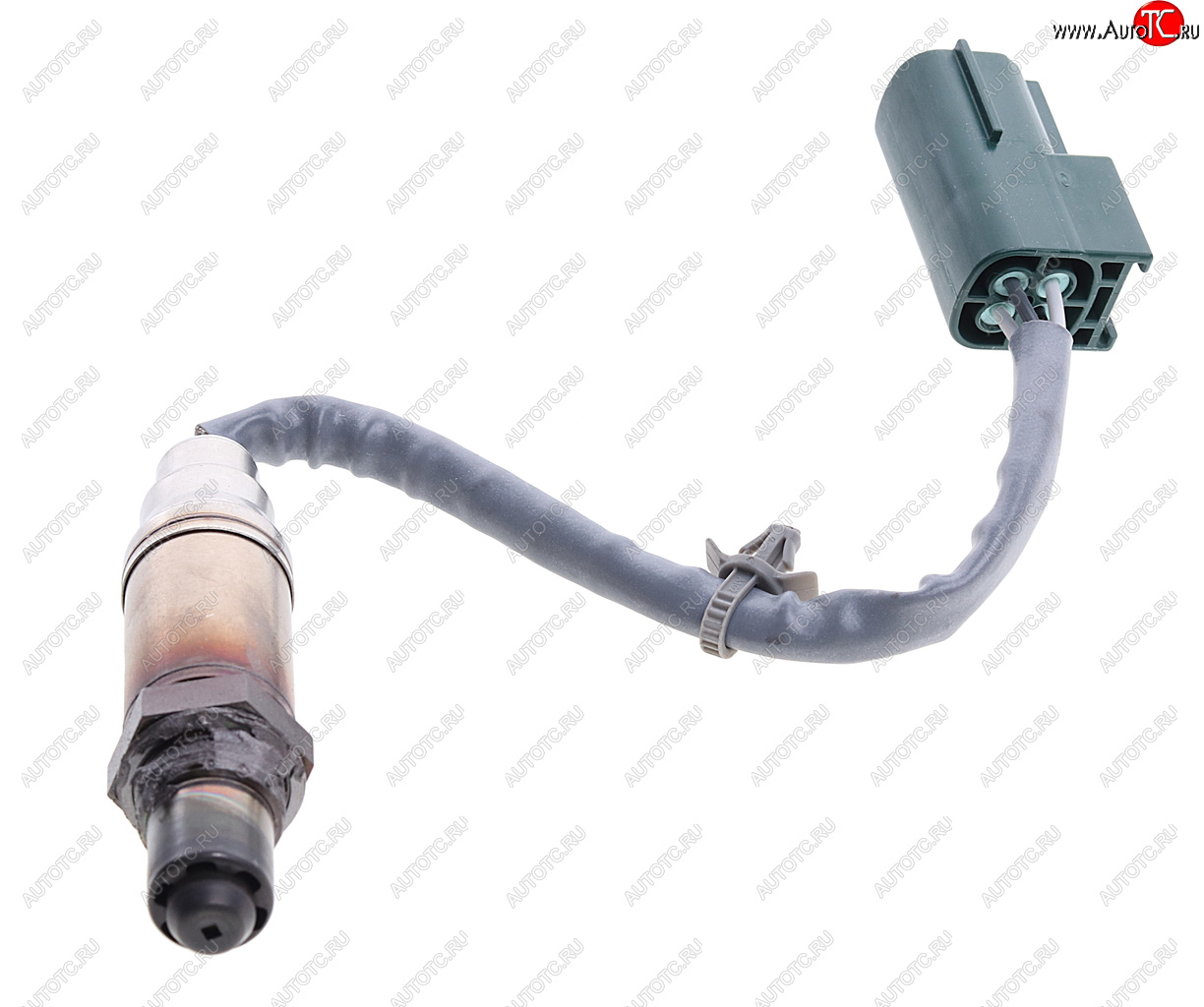6 249 р. Датчик кислорода NISSAN Micra (03-) (1.2/1.4) BOSCH BOSCH 0258005307 BOSCH 0258005307  с доставкой в г. Кемерово