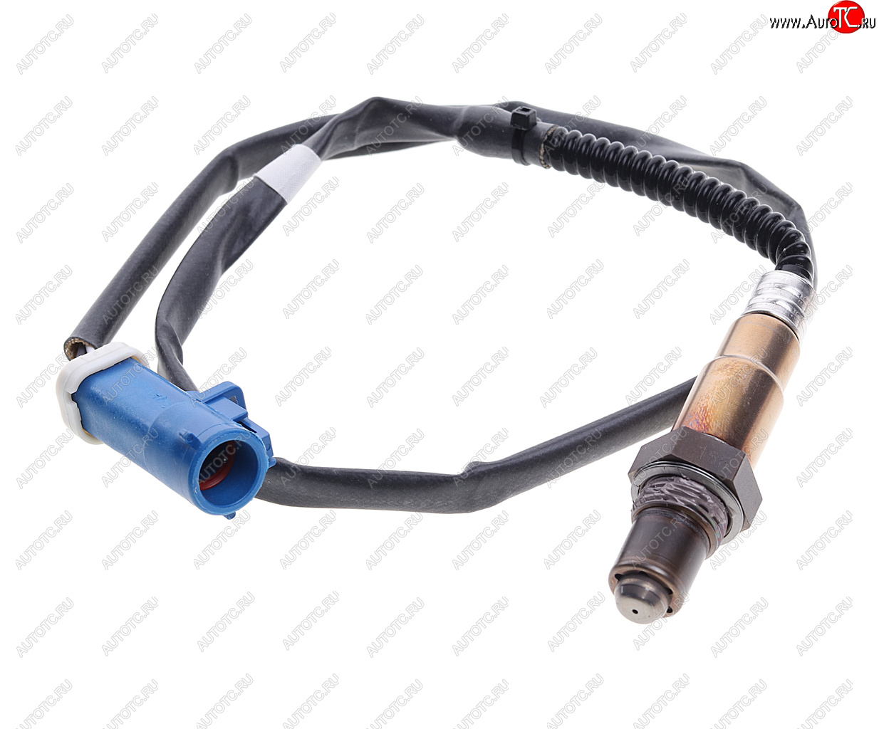 8 849 р. Датчик кислорода FORD Galaxy (01-) (2.0/2.3) BOSCH BOSCH 0258006187 BOSCH 0258006187  с доставкой в г. Кемерово