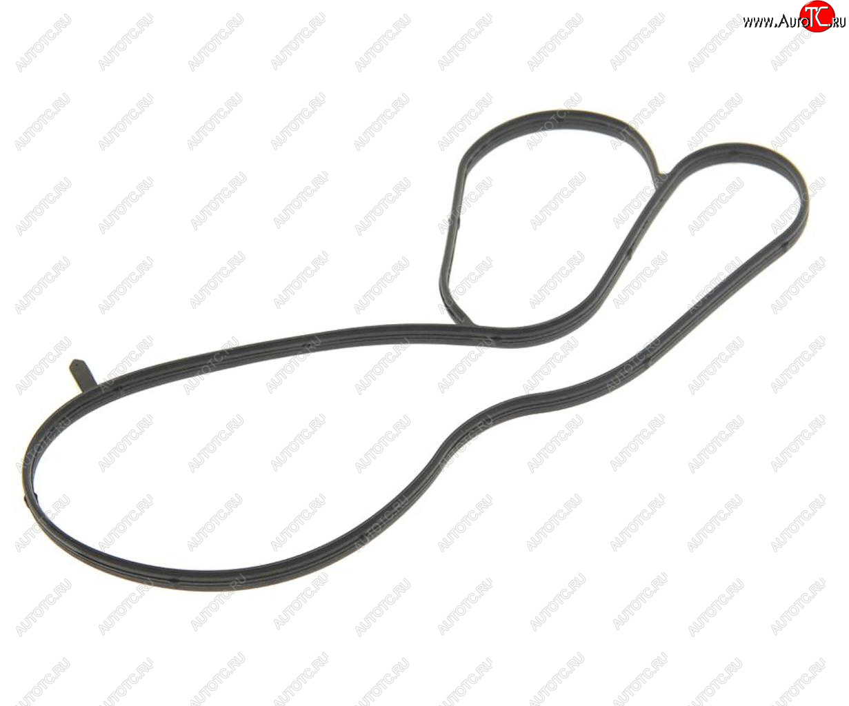 469 р. Кольцо уплотнительное VW AUDI SEAT SKODA (1.4) насоса водяного OE VAG 04e121119c  с доставкой в г. Кемерово