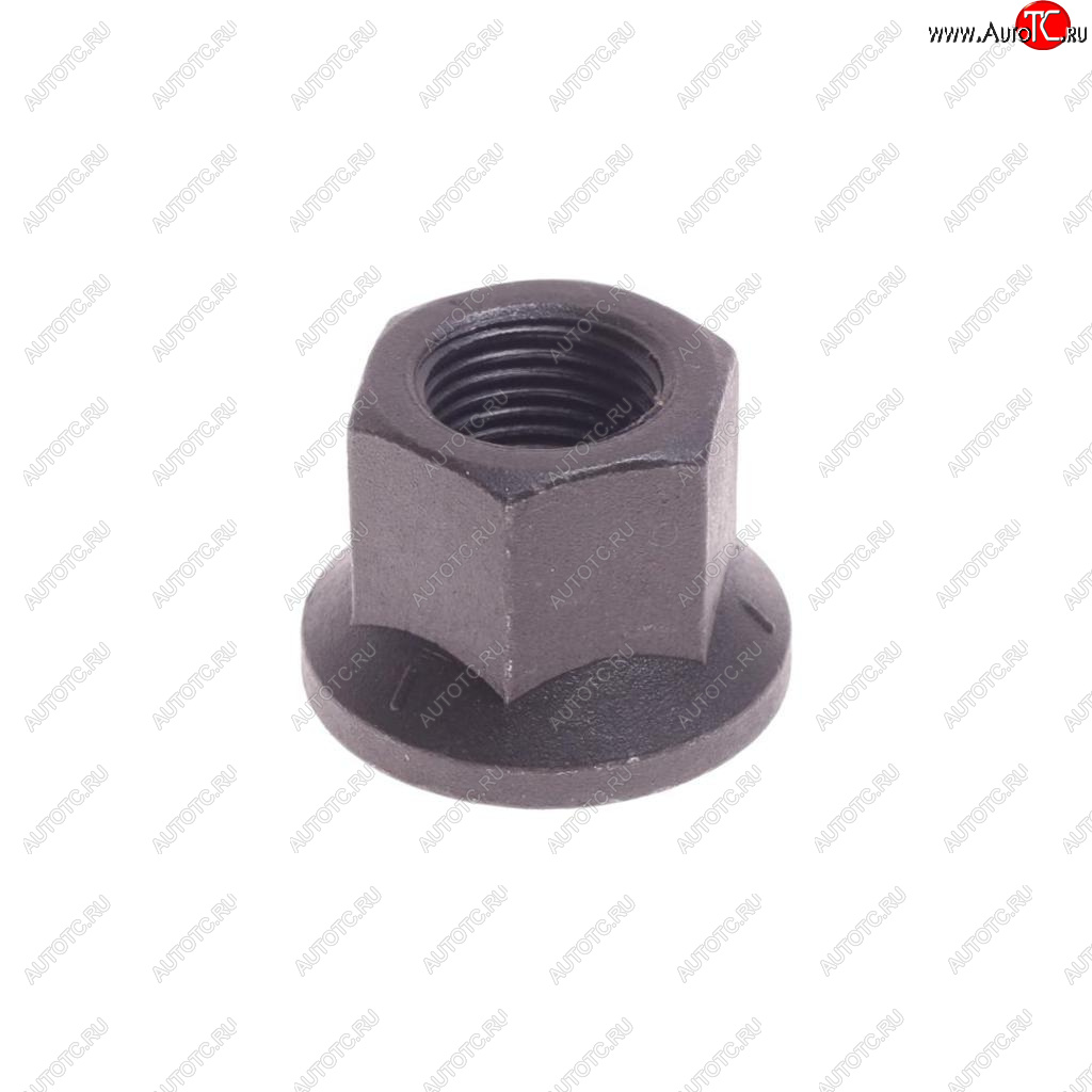 299 р. Гайка BPW колеса с фланцем (М22x2) FEBI FEBI 06254  с доставкой в г. Кемерово