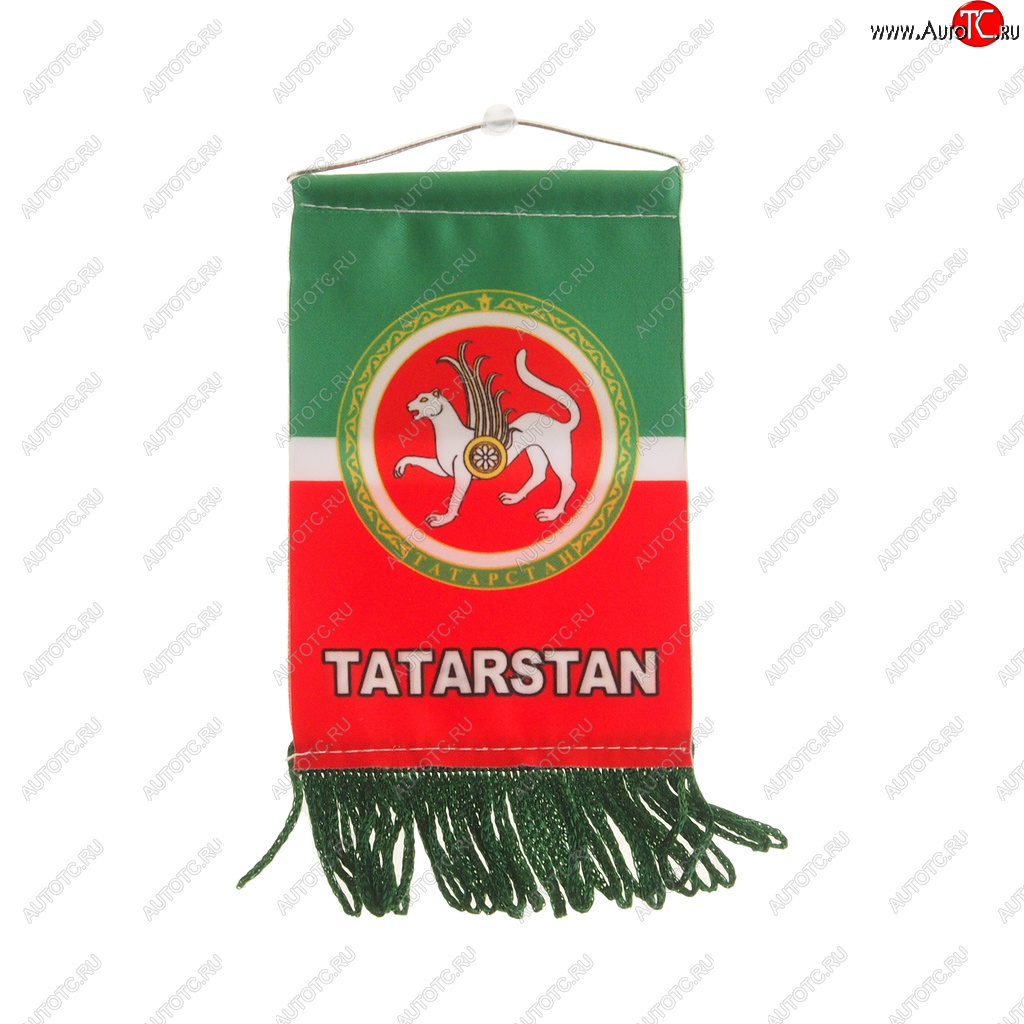 172 р. Вымпел TATARSTAN с бахромой (8х12см) на присоске AUTOSTICKERS 06271057538  с доставкой в г. Кемерово