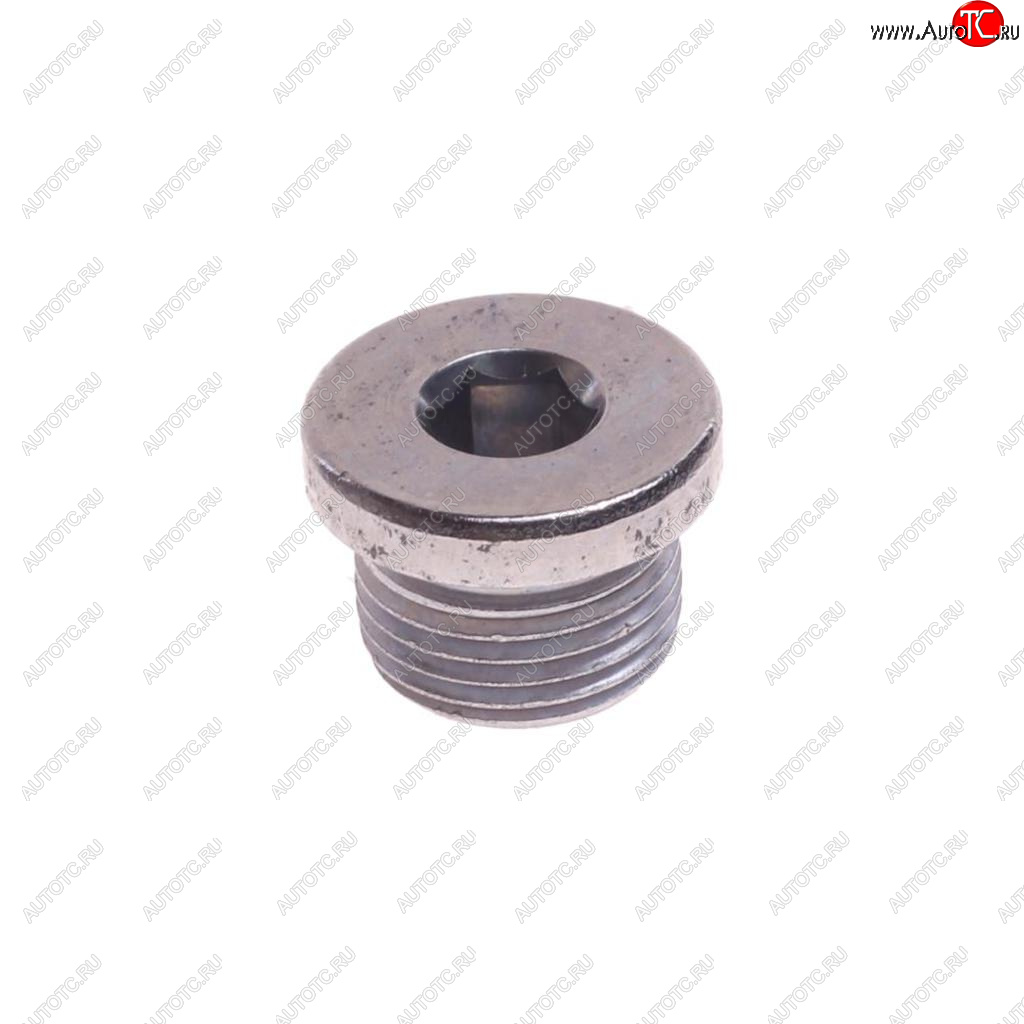 379 р. Пробка BMW 1 (F20,F21),3 (E30,E36) сливная поддона масляного OE BMW 07119905428  с доставкой в г. Кемерово