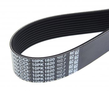 2 469 р. Ремень приводной поликлиновой 10PK1620HD DAYCO DAYCO 10pk1620hd  с доставкой в г. Кемерово. Увеличить фотографию 2