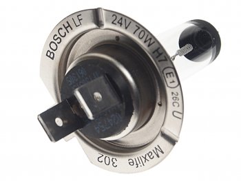 559 р. Лампа 24V H7 70W PX26d Trucklight Maxlife BOSCH BOSCH 1987302772  с доставкой в г. Кемерово. Увеличить фотографию 2
