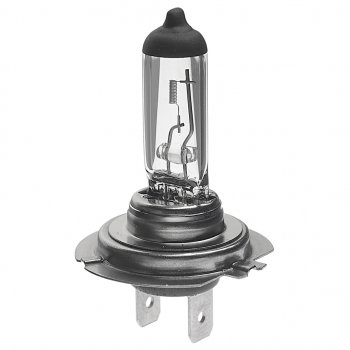 166 р. Лампа 12V H7 55W PX26d Eco BOSCH BOSCH 1987302804  с доставкой в г. Кемерово. Увеличить фотографию 1