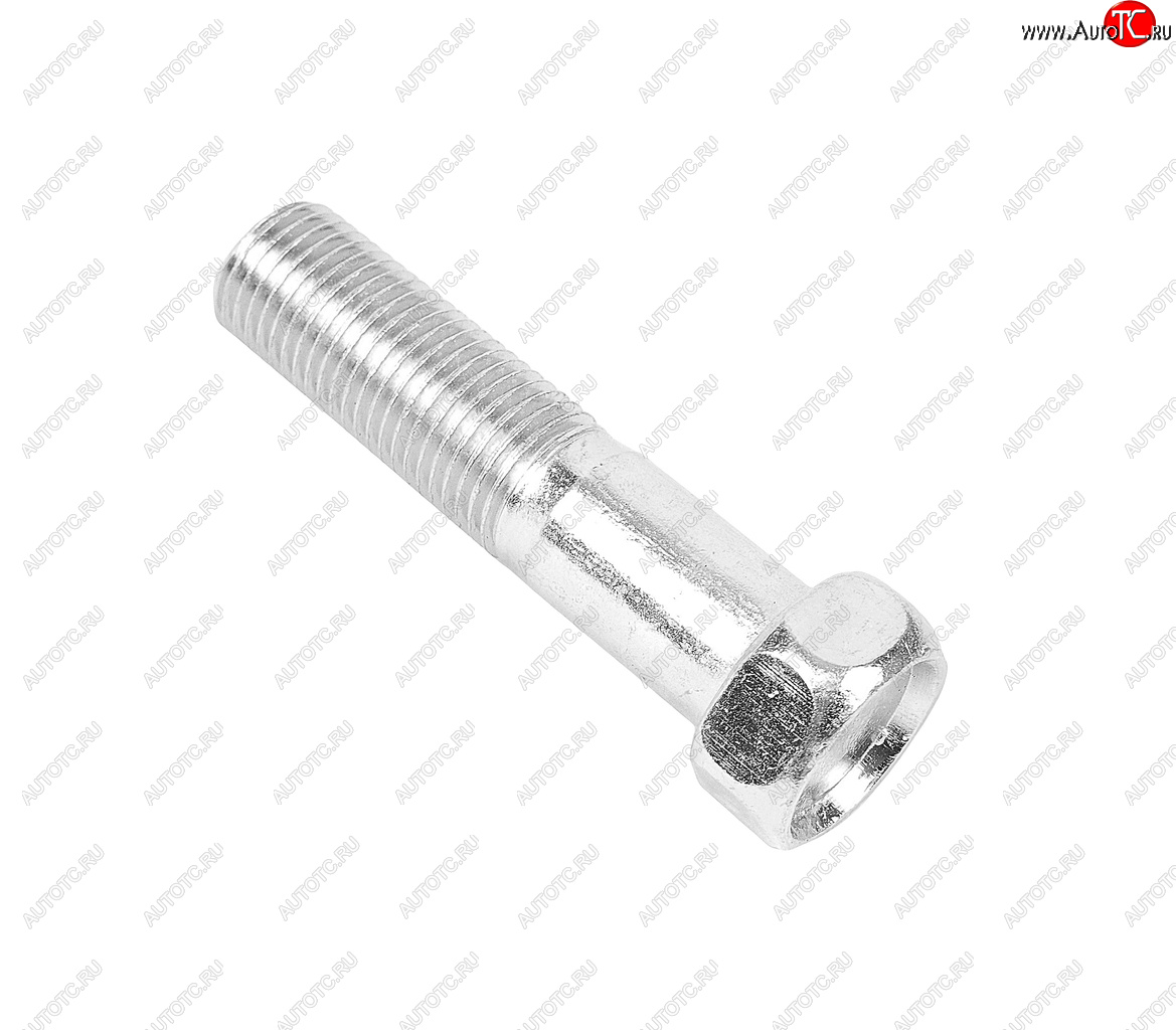 38 р. Болт М12х1.25х50 ГАЗ-3302 эксцентрика ГРМ ЭТНА Красная Этна ОАО 201571-п29  с доставкой в г. Кемерово