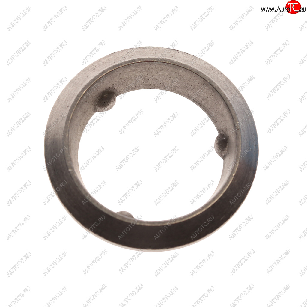 329 р. Кольцо уплотнительное VW Golf глушителя BOSAL BOSAL 256-943 BOSAL 256-943  с доставкой в г. Кемерово