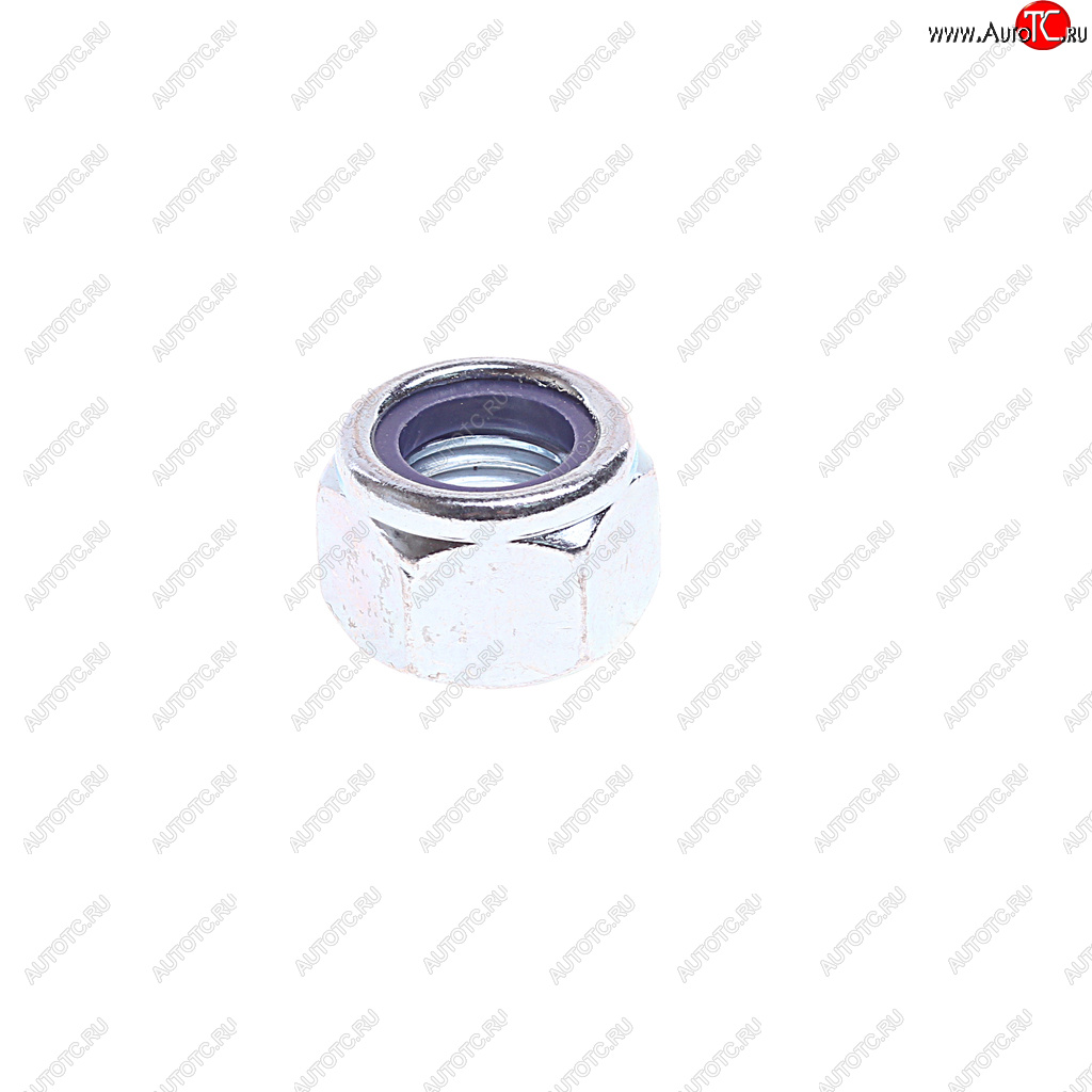 127 р. Гайка с тефлоном (M20х2,5мм) BPW/SAF DT DT 2.62911 DT 2.62911  с доставкой в г. Кемерово