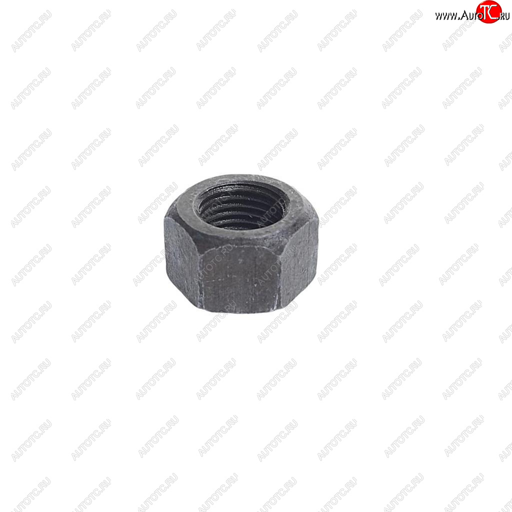 11 р. Гайка М10х1.0х10 ГАЗ-24,31029,УАЗ шатуна ЭТНА Красная Этна ОАО 292758-п  с доставкой в г. Кемерово