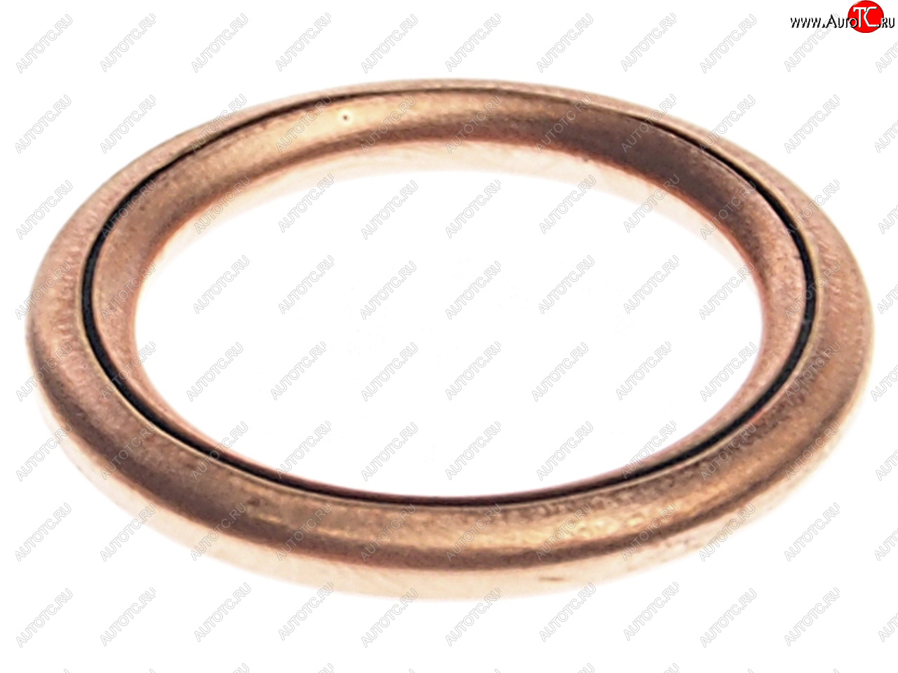 19 р. Кольцо уплотнительное VW Touareg AUDI A4,A5,A6,A8 пробки сливной SASIC SASIC 3130270  с доставкой в г. Кемерово