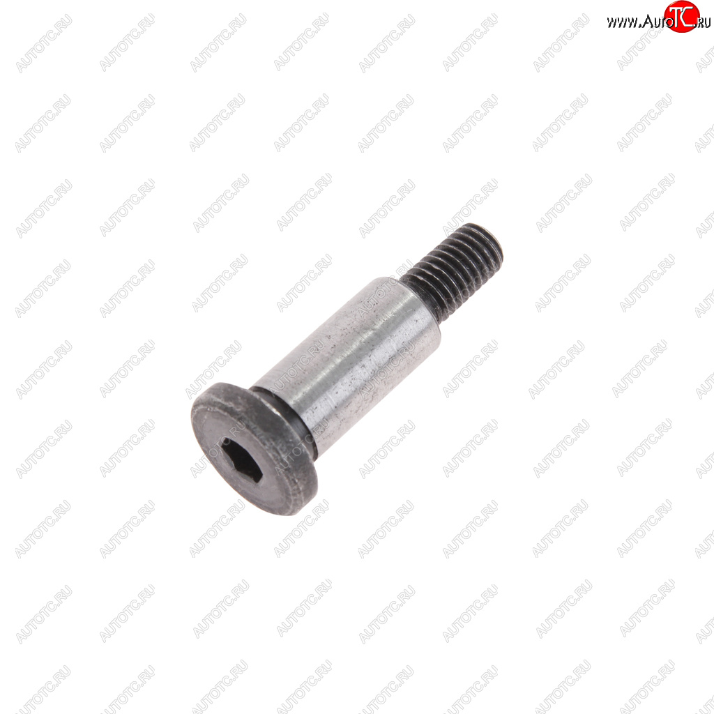 115 р. Болт М8х1.25х40 ГАЗ-3102 башмака натяжителя ЭТНА Красная Этна ОАО 406.1006098-10  с доставкой в г. Кемерово