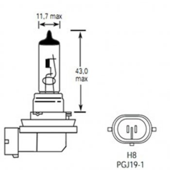 299 р. Лампа 12V H8 35W PGJ19-1 800лм Стандарт TESLAFT (Россия) TESLAFT 4631111143254  с доставкой в г. Кемерово. Увеличить фотографию 2