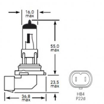 299 р. Лампа 12V HB4 51W P22d 1100лм Стандарт TESLAFT (Россия) TESLAFT 4631111143285  с доставкой в г. Кемерово. Увеличить фотографию 1