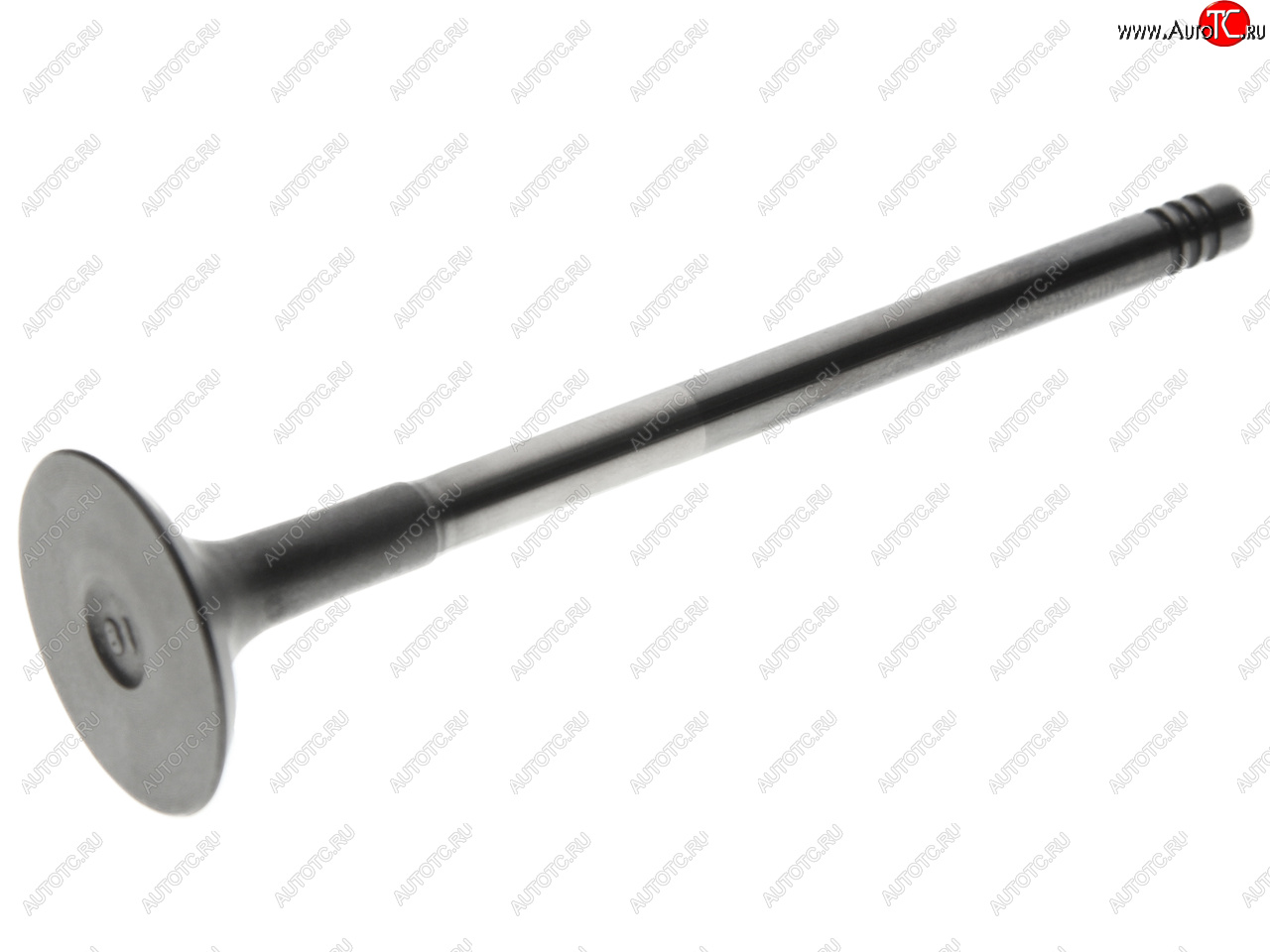 1 079 р. Клапан выпускной CHERY Fora,M12,Tiggo OE CHERY 481h-1007012ca  с доставкой в г. Кемерово