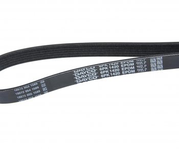 1 099 р. Ремень приводной поликлиновой 6PK1420HD DAYCO DAYCO 6pk1420hd  с доставкой в г. Кемерово. Увеличить фотографию 2