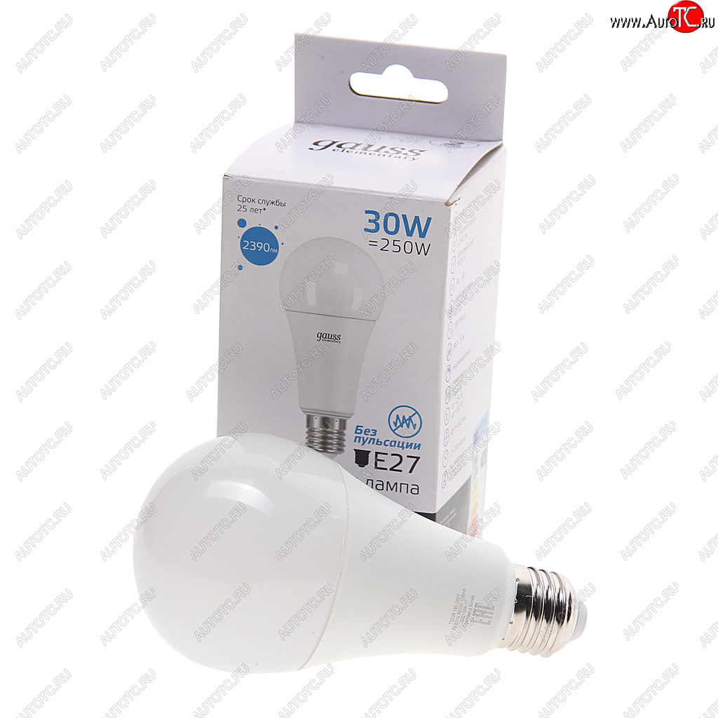 339 р. Лампа светодиодная E27 A67 30W(250W) 220V холодный GAUSS GAUSS 73239  с доставкой в г. Кемерово