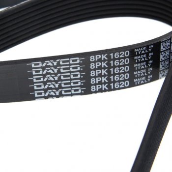 1 689 р. Ремень приводной поликлиновой 8PK1620HD DAYCO DAYCO 8pk1620hd  с доставкой в г. Кемерово. Увеличить фотографию 2