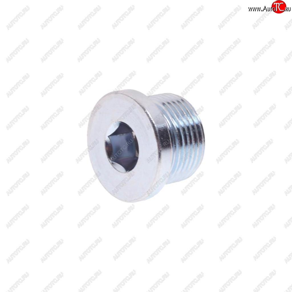 263 р. Пробка MAN картера двигателя (M22х1.5) DT DT 9.29010  с доставкой в г. Кемерово