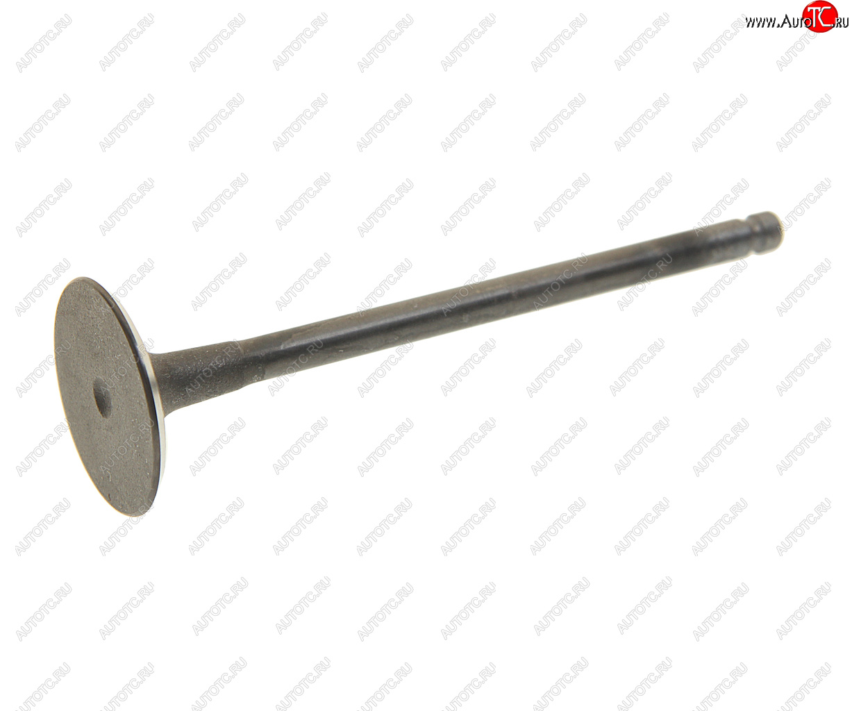 199 р. Клапан впускной CHEVROLET Epica (V250) (07-) (2.0) (1шт.) SHINHAN SHIN HAN 96307816 SHIN HAN 96307816  с доставкой в г. Кемерово