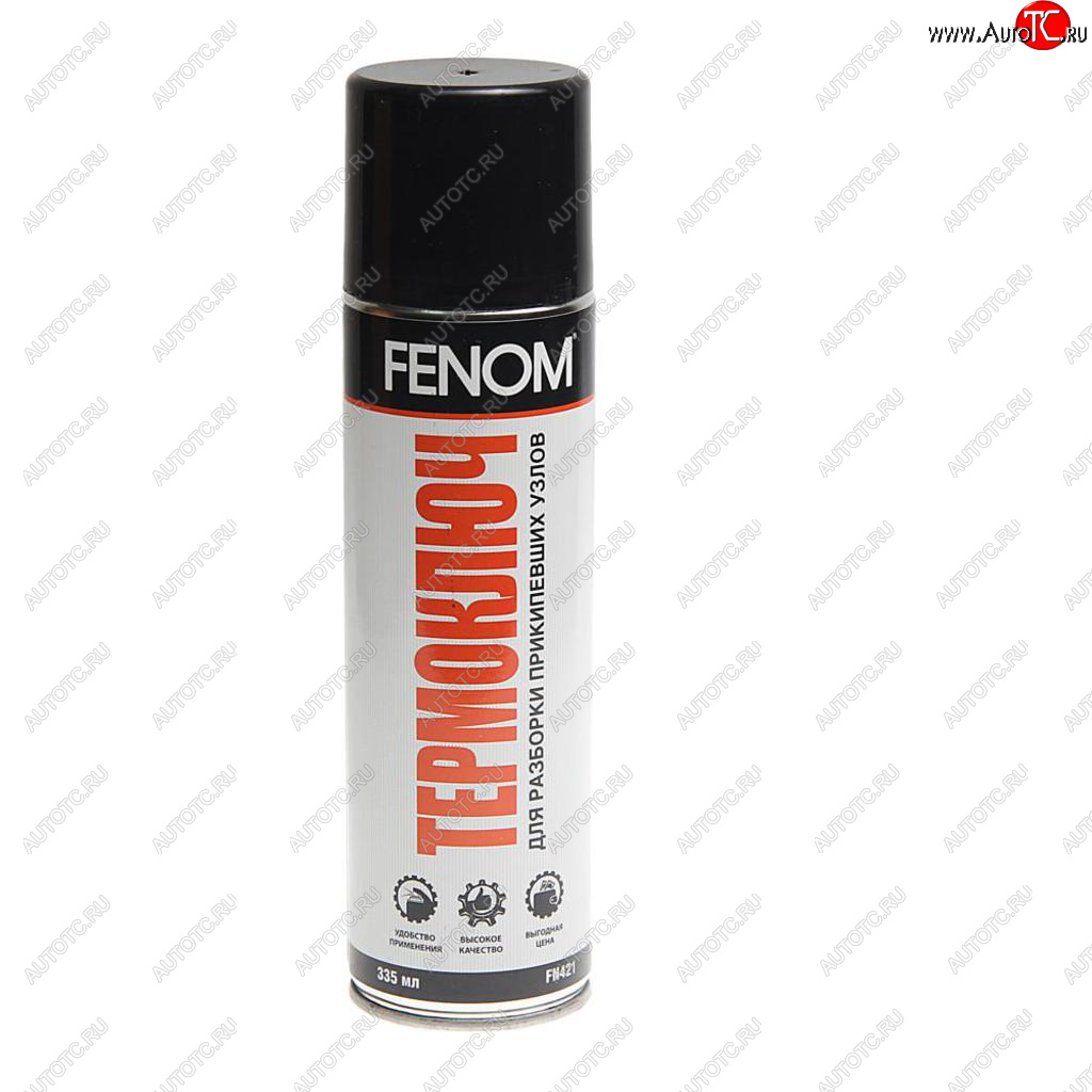 349 р. Спрей-охладитель (максимум до -45°С) 335мл Термоключ FENOM FENOM fn421  с доставкой в г. Кемерово