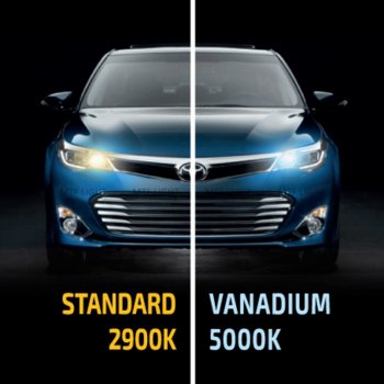 1 439 р. Лампа 12V H1 55W P14.5s бокс (2шт.) Vanadium MTF MTF hvn1201  с доставкой в г. Кемерово. Увеличить фотографию 5