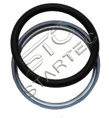 42 р. Кольцо упорное с кольцом уплотнительным под М16 STARTEC STARTEC inf.11.rm16  с доставкой в г. Кемерово. Увеличить фотографию 1