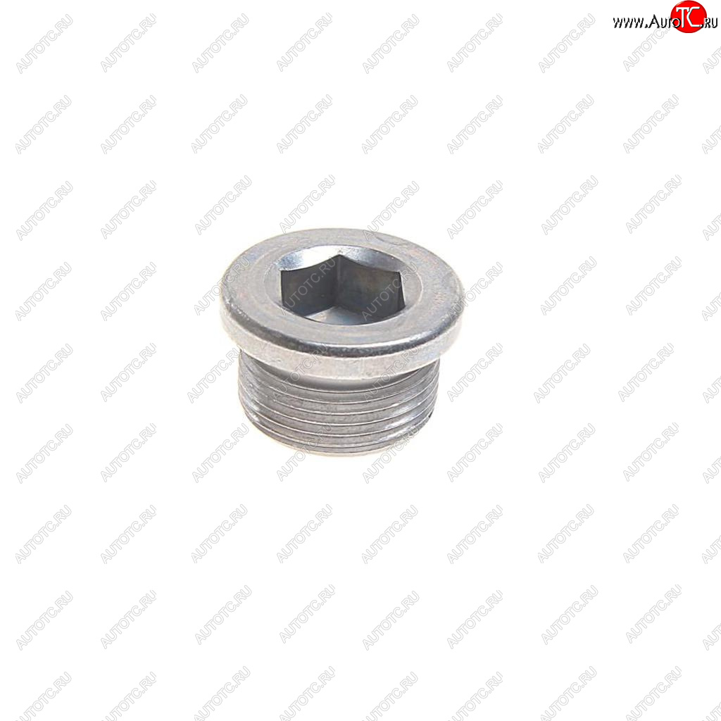 469 р. Пробка сливная VW Beetle (02-15) AUDI A3 (08-13) SKODA Octavia (04-) поддона картера OE VAG n90215404  с доставкой в г. Кемерово