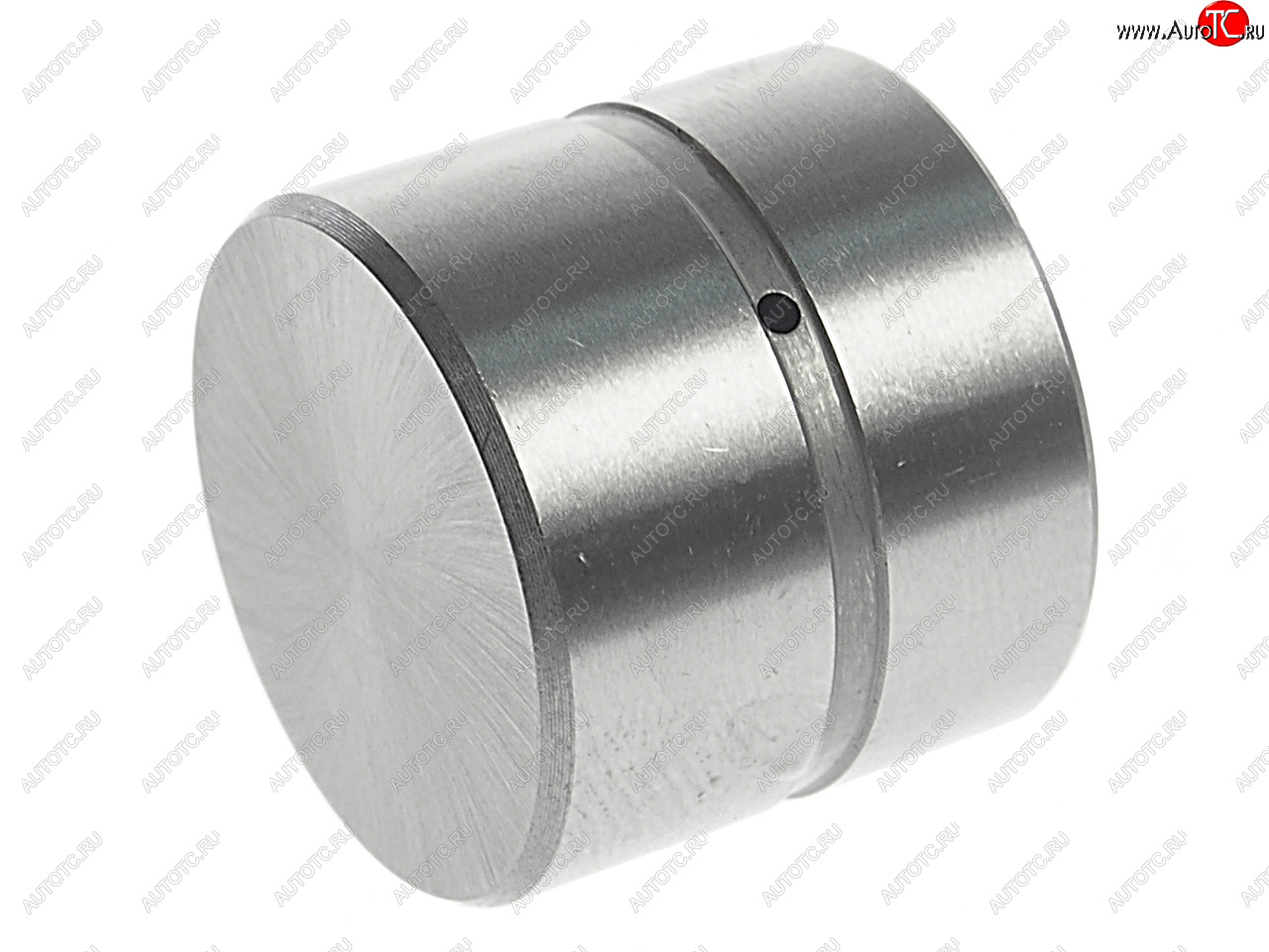 529 р. Гидрокомпенсатор HYUNDAI Accent (99-),Elantra (00-),Getz (02-),Matrix (01-) NSP NSP nsp022223137110  с доставкой в г. Кемерово