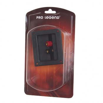 236 р. Терминал аудио PRO LEGEND PRO LEGEND pl2353  с доставкой в г. Кемерово. Увеличить фотографию 1