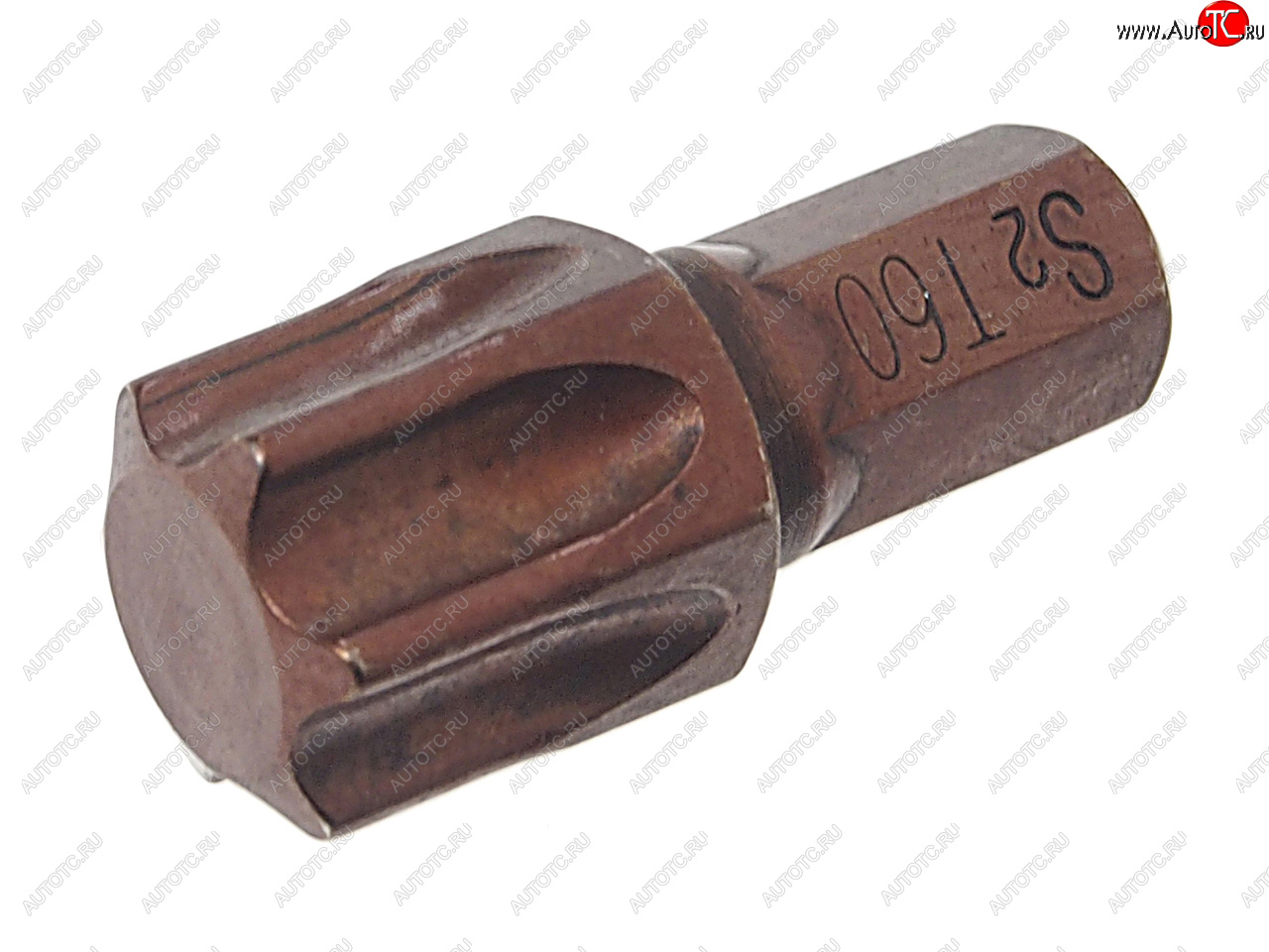 97 р. Бита TORX T60х30мм 5/16 ROCKFORCE ROCKFORCE rf-1563060pr ROCKFORCE rf-1563060pr  с доставкой в г. Кемерово