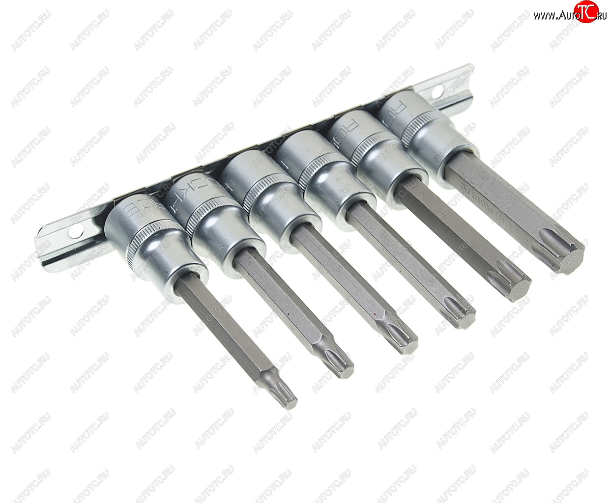 1 679 р. Набор бит-головок TORX Т30-Т60 L=100мм 6 предметов на планке ROCKFORCE ROCKFORCE rf-40913l  с доставкой в г. Кемерово