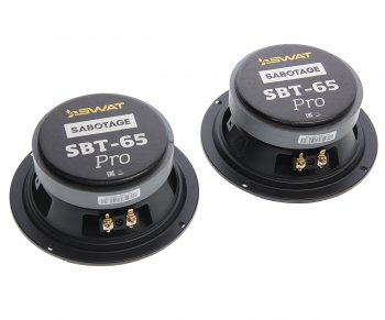 3 999 р. Колонки-мидбас 6 (16см) 125Вт SWAT SWAT sbt-65pro SWAT sbt-65pro  с доставкой в г. Кемерово. Увеличить фотографию 2