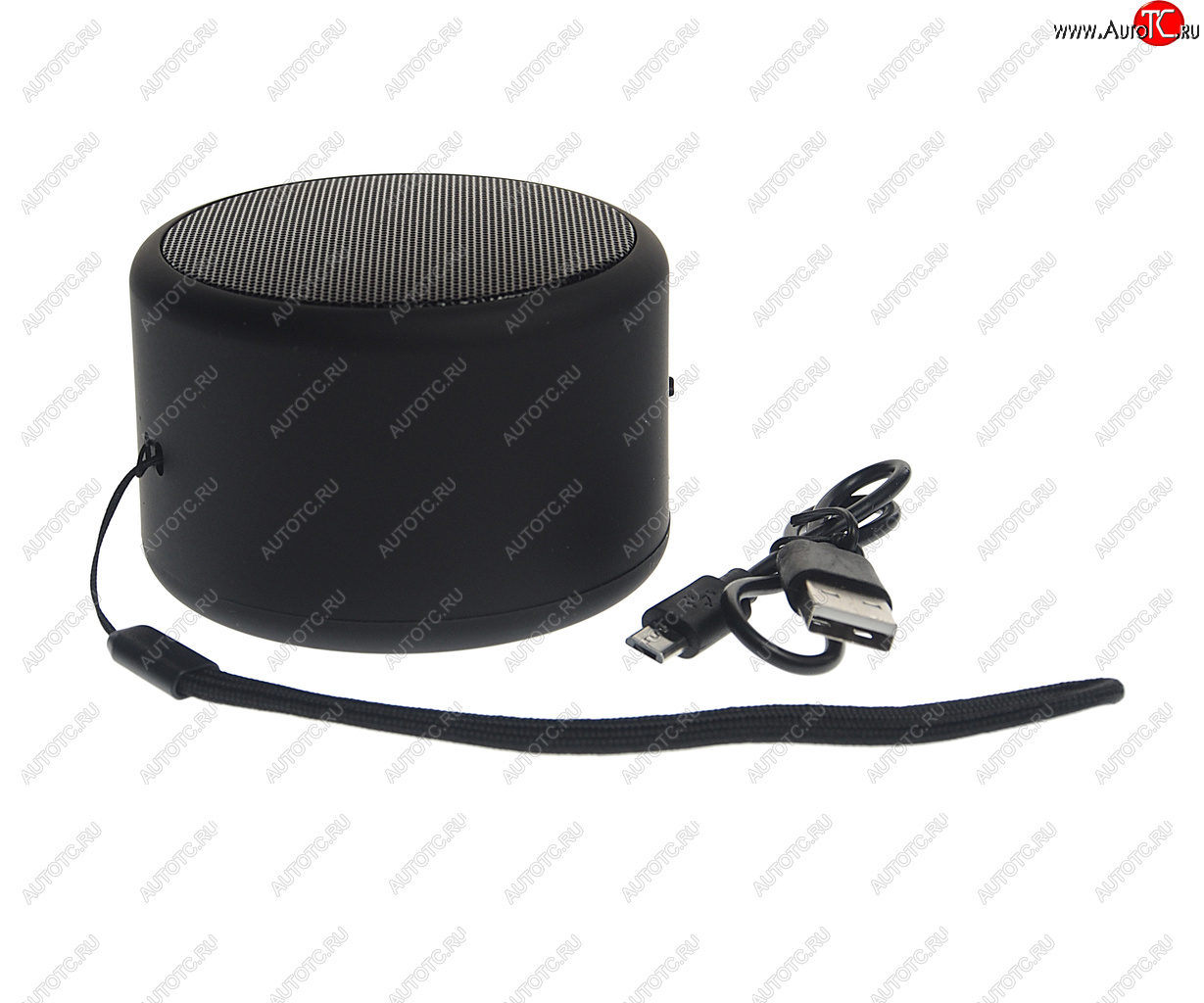 839 р. Колонка беспроводная bluetooth Mini TFN TFN tfn-bs01-01bk  с доставкой в г. Кемерово