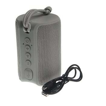 1 699 р. Колонка беспроводная bluetooth Play TFN TFN tfn-bs04-01gr  с доставкой в г. Кемерово. Увеличить фотографию 1