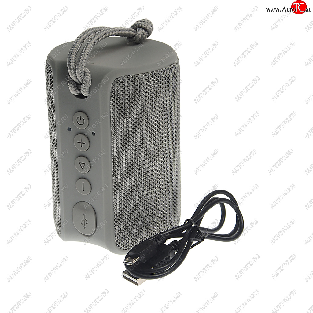 1 699 р. Колонка беспроводная bluetooth Play TFN TFN tfn-bs04-01gr  с доставкой в г. Кемерово
