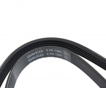 1 159 р. Ремень приводной поликлиновой 5PK1260 DAYCO DAYCO 5pk1260hd DAYCO 5pk1260hd  с доставкой в г. Кемерово. Увеличить фотографию 2