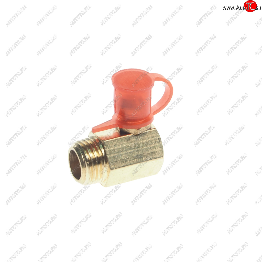 34 р. Масленка угловая 90 градусов SITRAK HOWO М10х1 с колпачком OE SITRAK az9003963022  с доставкой в г. Кемерово