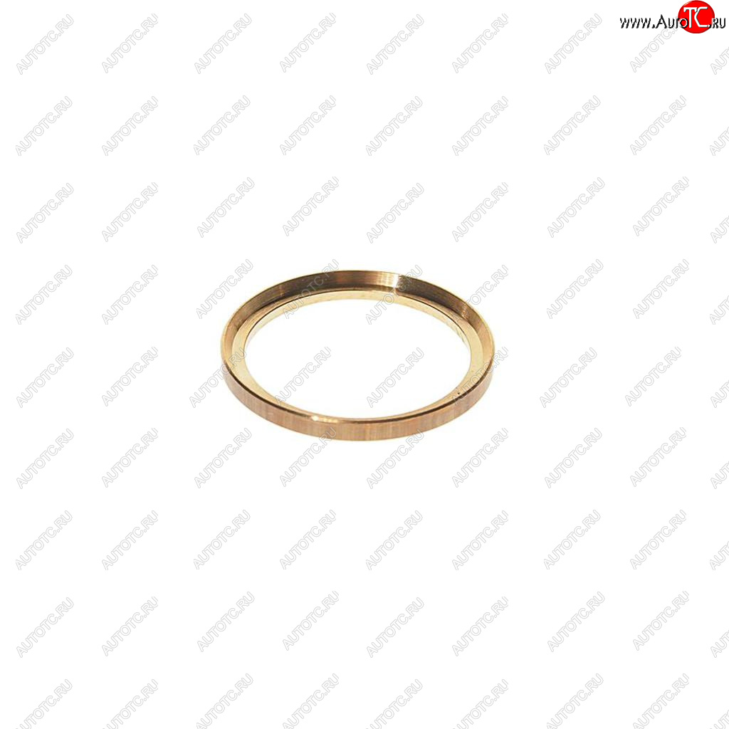 101 р. Кольцо упорное с фаской под резинку (металлическое М22) PE PE 07623300a PE 07623300a  с доставкой в г. Кемерово