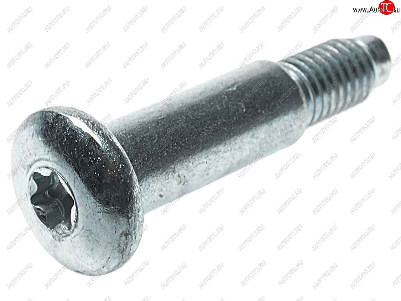 35 р. Болт М8х1.25х47 (ось) петли двери ВАЗ-1118 (ключ TORX) NO NAME 11180-6106020-00 NO NAME 11180-6106020-00  с доставкой в г. Кемерово