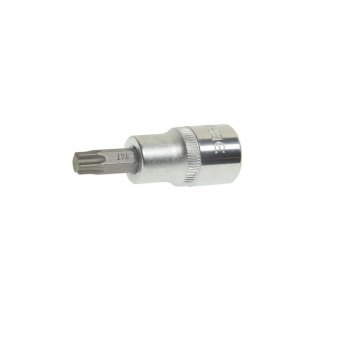 42 р. Бита-головка 12 TORX T47х22мм L=60мм ЭВРИКА ЭВРИКА er-94603  с доставкой в г. Кемерово. Увеличить фотографию 1