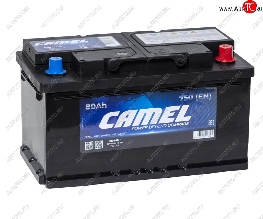 11 799 р. Аккумулятор CAMEL 80Ач обратная полярность, низкий CAMEL 6ст80(0) lb4  с доставкой в г. Кемерово