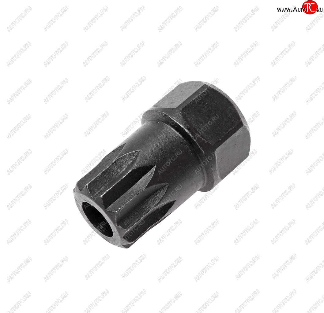 629 р. Головка для маслосливных пробок 17ммхM16H SPLINE (VW, AUDI) JTC JTC TOOLS CO., LTD jtc-1303  с доставкой в г. Кемерово