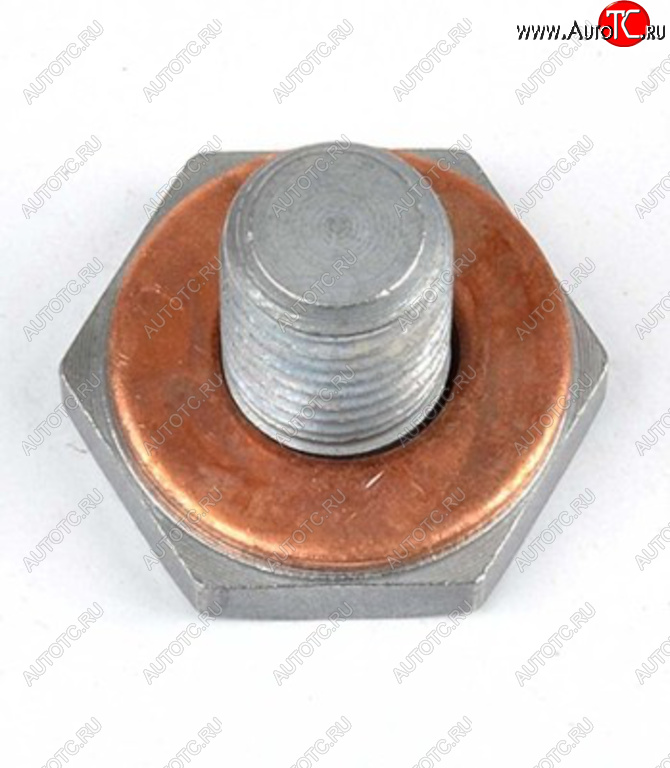 88 р. Пробка сливная FORD (PSA) (02-) (1.41.6 TDCI) поддона BSG BSG bsg30230038  с доставкой в г. Кемерово