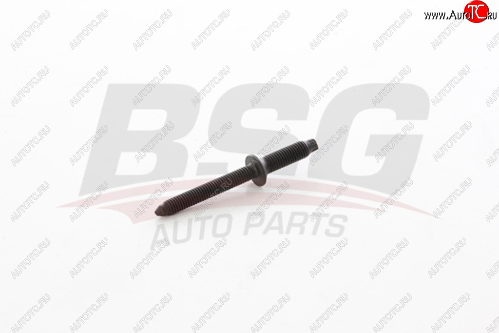 74 р. Шпилька FORD Focus,C-Max (307,308,407,C4) (04-11) (1.6 TDCI) крепления форсунки BSG BSG bsg30230053  с доставкой в г. Кемерово