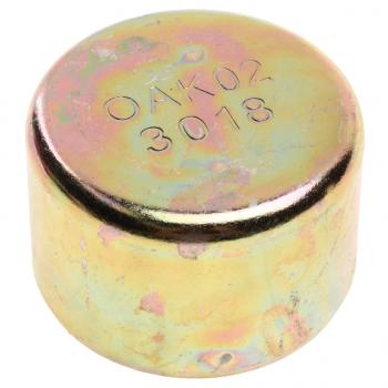 166 р. Заглушка SITRAK C7H MAX направляющей суппорта тормозного OE SITRAK wg4007443018  с доставкой в г. Кемерово. Увеличить фотографию 1