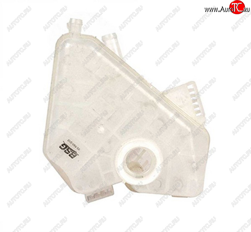 1 129 р. Бачок расширительный FORD Fiesta охлаждающей жидкости BSG BSG bsg30550011 BSG bsg30550011  с доставкой в г. Кемерово
