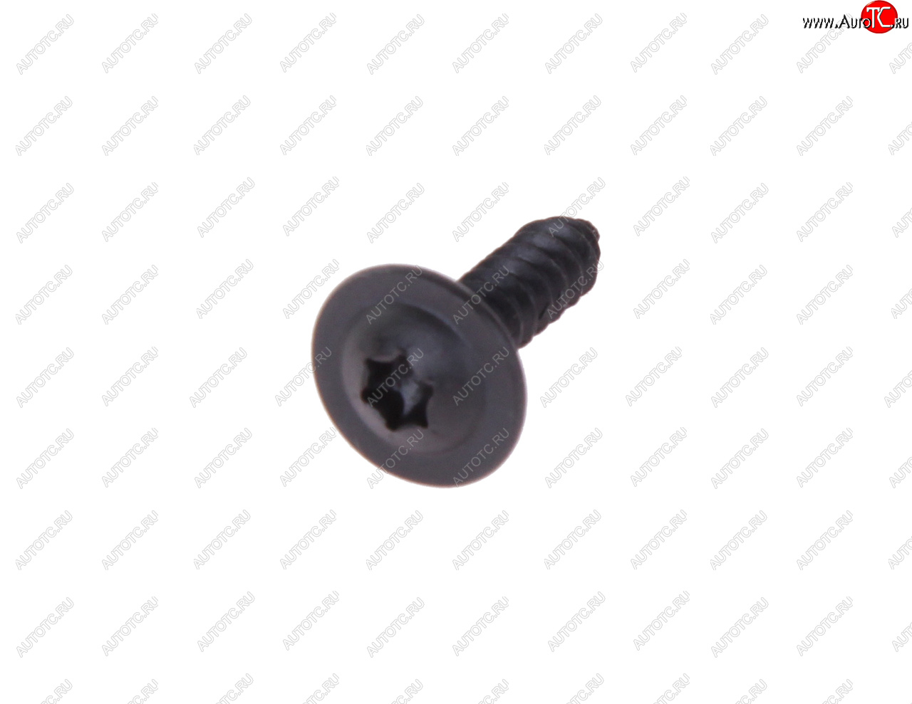32 р. Саморез 4.2х16мм под TORX SMILGA SMILGA 1413  с доставкой в г. Кемерово
